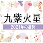 【九紫火星】2021年の運勢と月別吉方位と凶方位