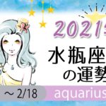 水瓶座(みずがめ座)の2021年の運勢【総合運・恋愛運・結婚運・SEX運・仕事運・転職運・金運・健康運・ラッキーカラー】