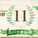 カバラ数秘術・運命数11の性格や相性と2022年の運勢(全体運・恋愛運・結婚運・金運・仕事運)