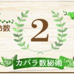 カバラ数秘術・運命数2の性格や相性と2021年の運勢(全体運・恋愛運・結婚運・金運・仕事運)