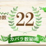 カバラ数秘術・運命数22の性格や相性と2021年の運勢(全体運・恋愛運・結婚運・金運・仕事運)