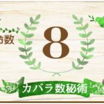カバラ数秘術・運命数8の性格や相性と2022年の運勢(全体運・恋愛運・結婚運・金運・仕事運)