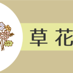 【2021年】草花(乙)の人の性格や運勢、恋愛傾向や相性まで完全紹介!
