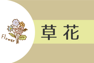 【2025年】草花(乙)の人の性格や運勢、恋愛傾向や相性まで完全紹介!