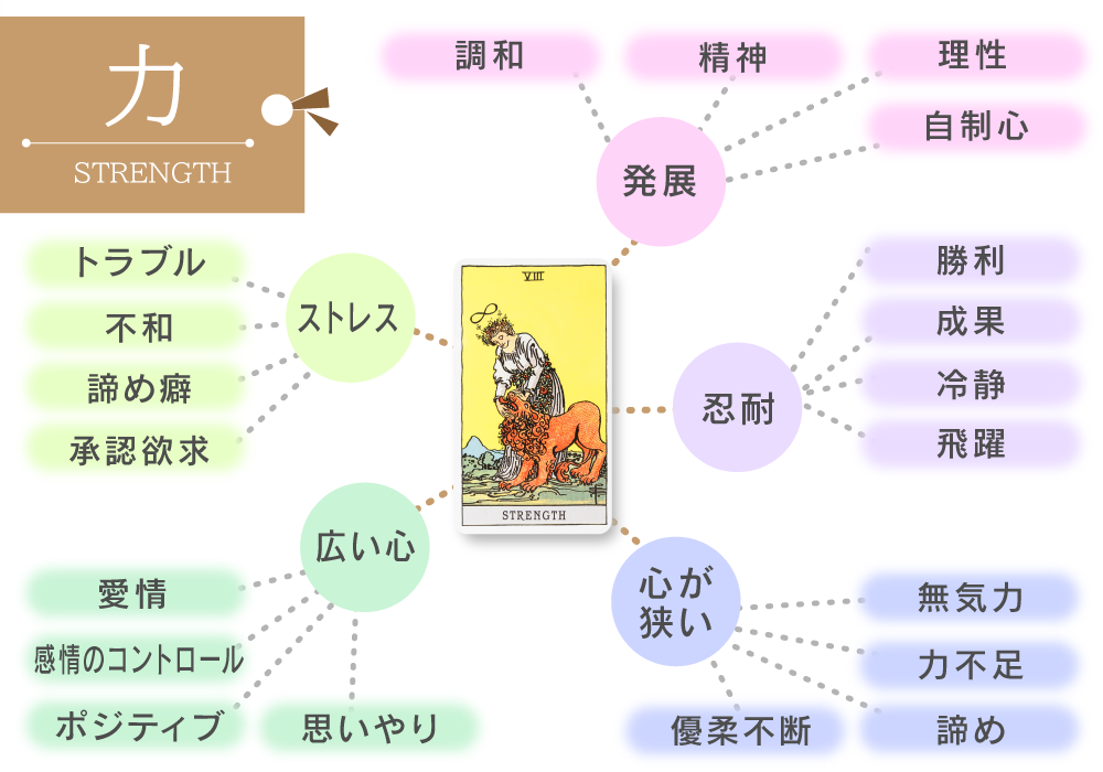 タロットカード8 力 Strength の意味は正位置 忍耐による勝利 逆位置 心が狭い 恋愛 相手の気持ち 仕事など悩み別にリーディング具体例も完全紹介 無料占いfushimi