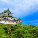 和歌山の当たる占い師|イオン和歌山の東明館やメリカの霊視や占いの館天乙貴神など完全紹介!