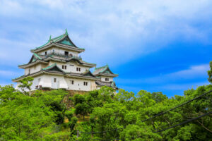 和歌山の当たる占い師|イオン和歌山の東明館やメリカの霊視や占いの館天乙貴神など完全紹介!