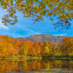 福井の当たる占い師｜パリオの LAMbs（ラムズ）や喫茶店ありがたやのママの中西さん、千里眼福井中央店や心の癒しSORA(宇宙)など完全紹介！