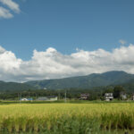 長野の当たる占い師｜MIDORIの東明館やグラナダの木や神島千尋先生など完全紹介