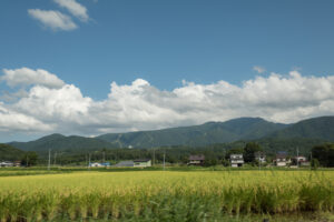 長野の当たる占い師|MIDORIの東明館やグラナダの木や神島千尋先生など完全紹介