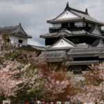 愛媛の当たる占い師｜北上珈琲館の占いやリンクアイ鏡子先生や閉店したセラピールーム智恵の最新情報を完全紹介