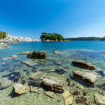 岩手の当たる占い師｜オガールの母やアジアンヒーラー安珠先生やmintさんや占い喜喜ちゃんなど完全紹介