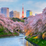 上野の当たる占い師｜ハートフルやBorboletaのゆかり先生やフロンティアなど完全紹介