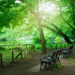 吉祥寺の当たる占い師｜SAKURA先生や阿吽（あうん）や吉祥寺の母など完全紹介