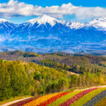 北海道の当たる占い師|星なすで占うmasae(まさえ)先生や占いも行ういちきしまコーヒー、マイマートのおじさんの占いなど完全紹介!