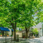 表参道の当たる占い師|千里眼表参道店の日縁先生や山口由莉先生など完全紹介