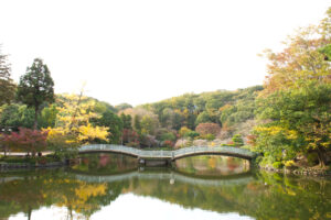 町田の当たる占い師|未唯舎先生や玻瑠香(パルカ)先生や美灯先生など完全紹介