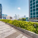 新橋の当たる占い師|蒼先生や美虹先生や黒田真櫻先生など完全紹介