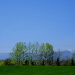 帯広の当たる占い師|マイマートのおじさんや霊視占いができるIERUや遠藤瑞省先生など完全紹介