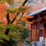 湯布院の当たる占い師|千家の髙日すくね先生やゆふいんフローラハウスやアイランドスピリットなど完全紹介