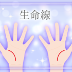 生命線の意味とは?枝分かれしているとどうなるの?短い時や切れてる時の意味は?