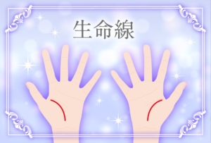 生命線の意味とは?枝分かれしているとどうなるの?短い時や切れてる時の意味は?