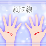 頭脳線(知能線)の意味とは?二本に枝分かれしていたり切れてたり長い(まっすぐや下向き)・短い時の意味を画像で詳しく紹介!