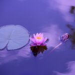 生き霊占い【無料】