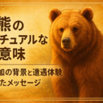 熊のスピリチュアルな意味｜被害増加の背景と遭遇体験に隠されたメッセージ