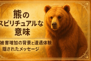 熊のスピリチュアルな意味｜被害増加の背景と遭遇体験に隠されたメッセージ