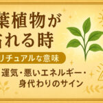 観葉植物が枯れる時のスピリチュアルな意味｜運気・悪いエネルギー・身代わりのサイン