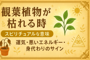 観葉植物が枯れる時のスピリチュアルな意味｜運気・悪いエネルギー・身代わりのサイン