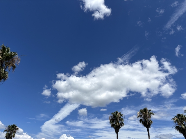 自分の直感を信じて行動する