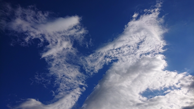 龍神様に愛される人になる方法