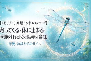 【スピリチュアル版トンボのメッセージ】寄ってくる・体に止まる・季節外れのトンボが示す意味｜恋愛・神様からのサイン