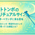 【イトトンボのスピリチュアルサイン】家の中・ベランダに来る意味｜青い糸トンボ・季節外れのトンボが寄ってくる縁起とは？